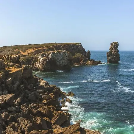 Charming In – Sea View 40 M² * Peniche