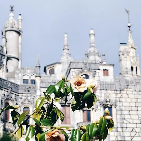 Charming In - Sea View 40 M² شقة *